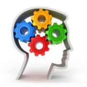 conocimiento (nota anllo)