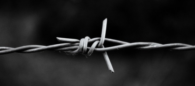 alambre-de-puas-170049