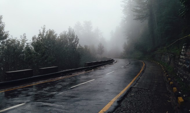 view_of_a_foggy_road